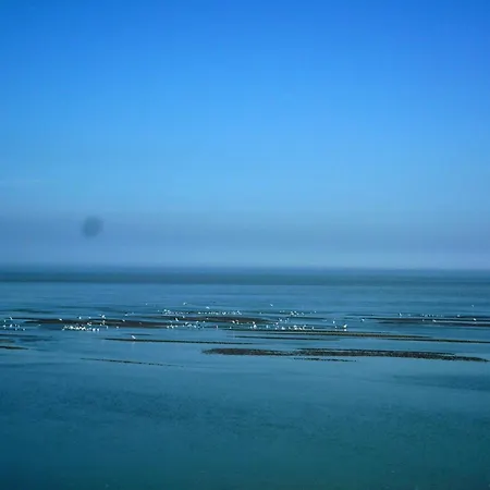 In Near Bay Of Somme Prázdninový dům Cayeux-sur-Mer